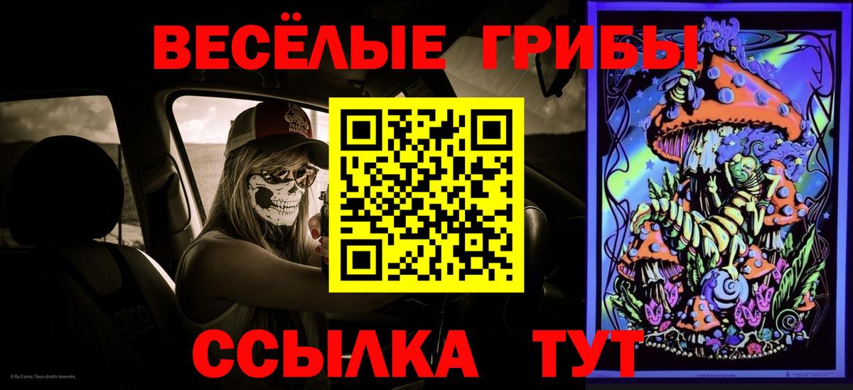 Псилоцибиновые грибы ЛСД Старая Купавна