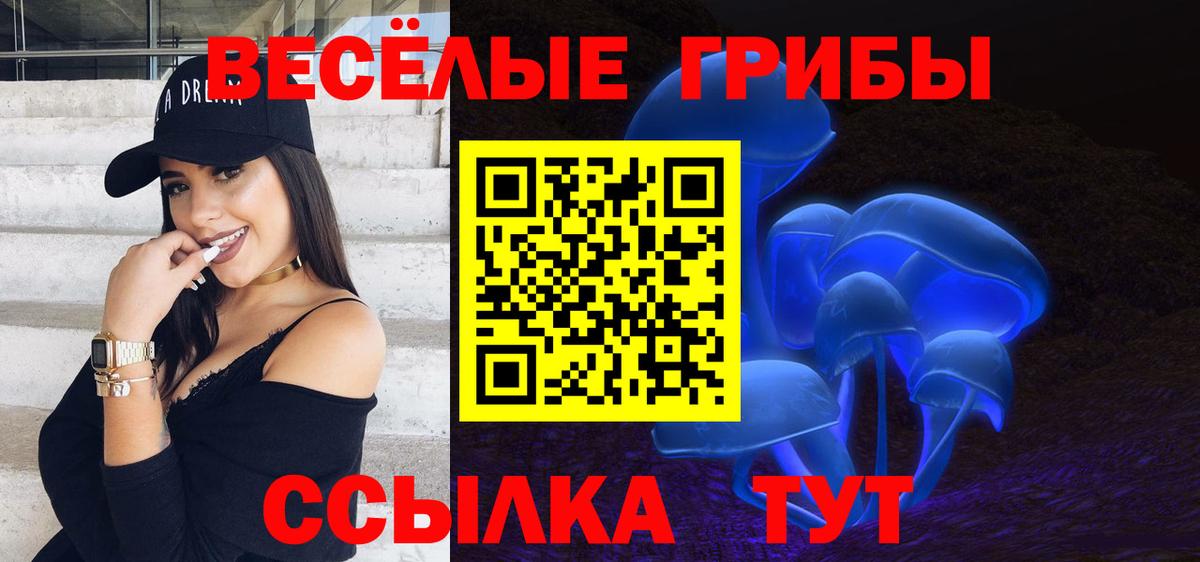 Псилоцибиновые грибы GOLDEN TEACHER  Вход с VPN  Старая Купавна 